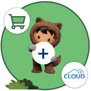 Salesforce commerce + Cloud11