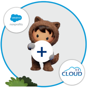 Salesforce for Nonprofits  +  Cloud 11